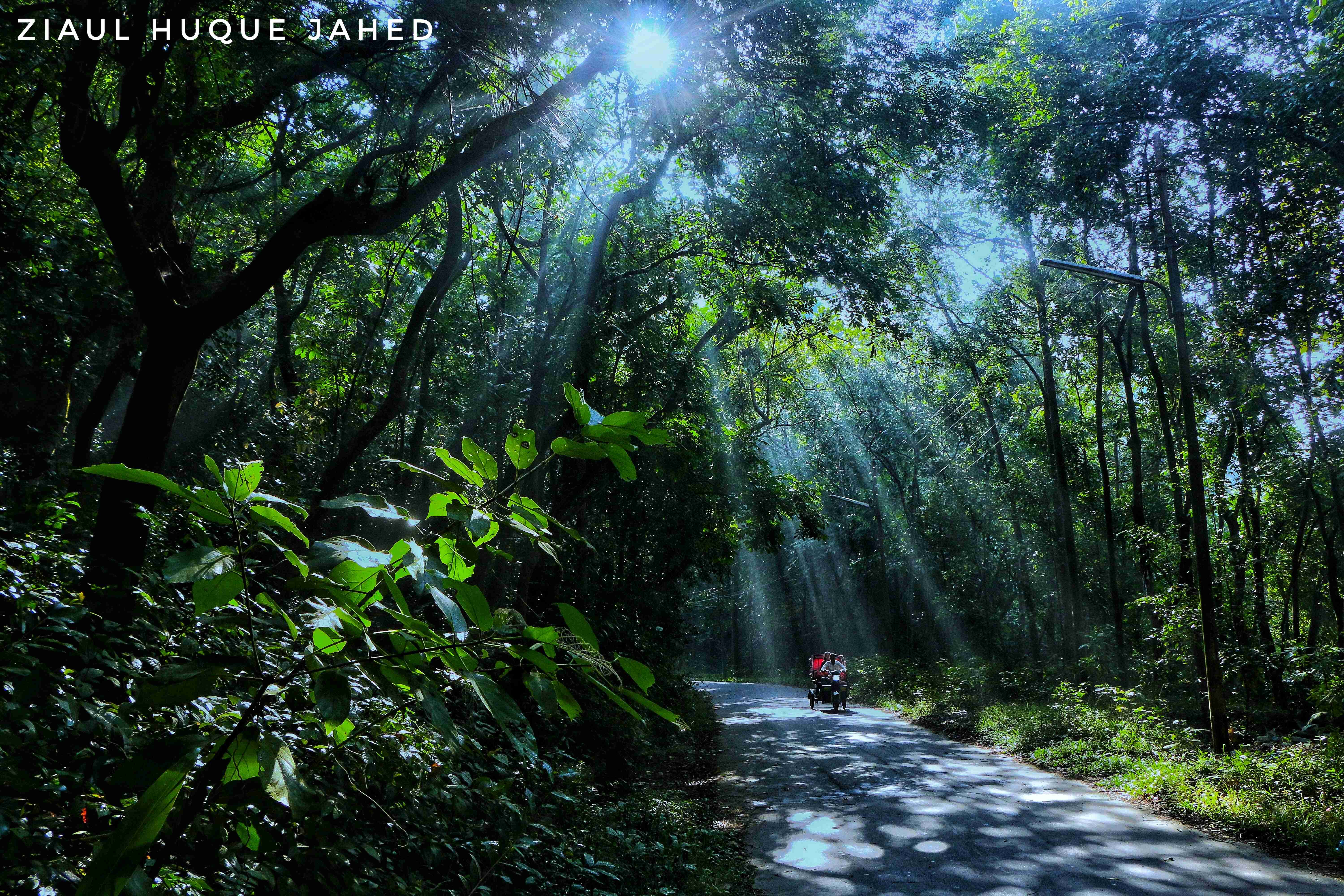 Back to Where It All Began